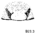 {short description of image}