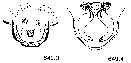 {short description of image}