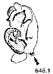 {short description of image}