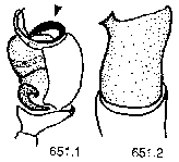 {short description of image}