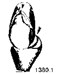 {short description of image}