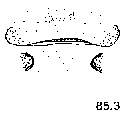 {short description of image}