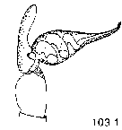 {short description of image}