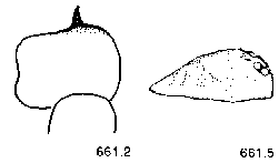 {short description of image}