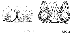 {short description of image}