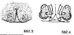 {short description of image}