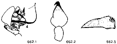 {short description of image}