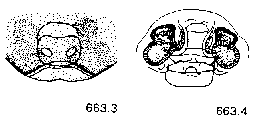 {short description of image}