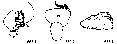 {short description of image}