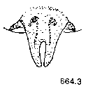 {short description of image}