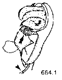 {short description of image}