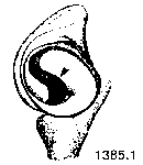 {short description of image}