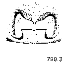 {short description of image}