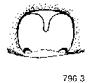{short description of image}