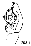 {short description of image}