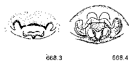 {short description of image}