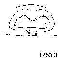 {short description of image}
