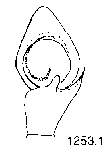 {short description of image}
