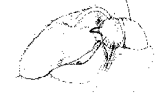 {short description of image}