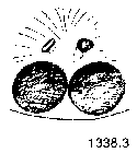 {short description of image}