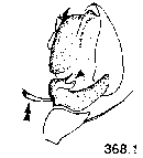 {short description of image}