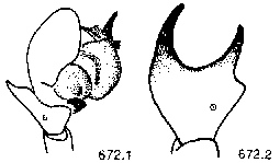 {short description of image}