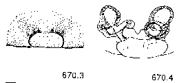 {short description of image}