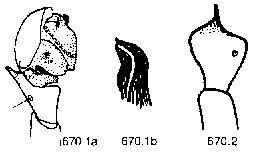 {short description of image}