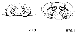 {short description of image}
