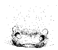 {short description of image}