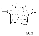 {short description of image}