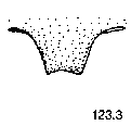 {short description of image}