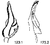 {short description of image}