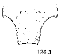 {short description of image}