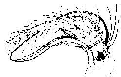 {short description of image}