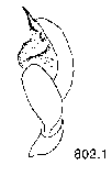 {short description of image}