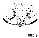 {short description of image}