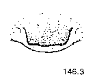 {short description of image}