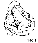{short description of image}