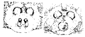 {short description of image}