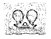 {short description of image}