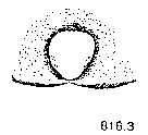 {short description of image}