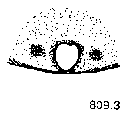 {short description of image}