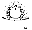{short description of image}