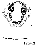 {short description of image}