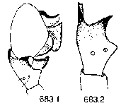 {short description of image}