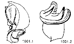 {short description of image}