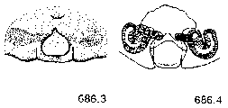 {short description of image}