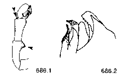 {short description of image}