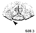 {short description of image}